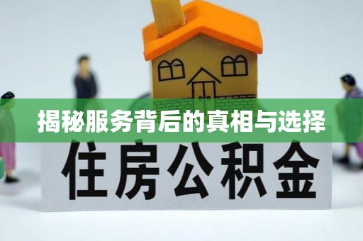 讷河揭秘服务背后的真相与选择