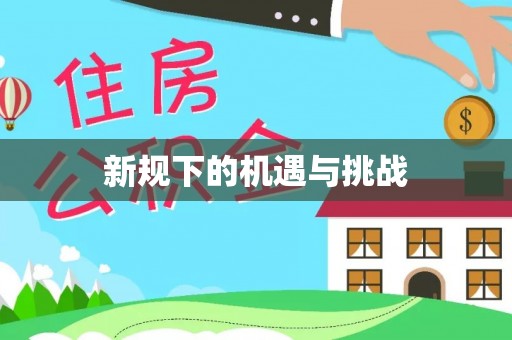 讷河新规下的机遇与挑战