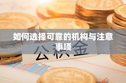 讷河如何选择可靠的机构与注意事项