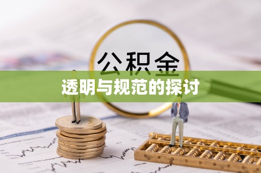 讷河透明与规范的探讨