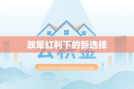 讷河政策红利下的新选择