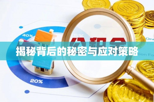 讷河揭秘背后的秘密与应对策略