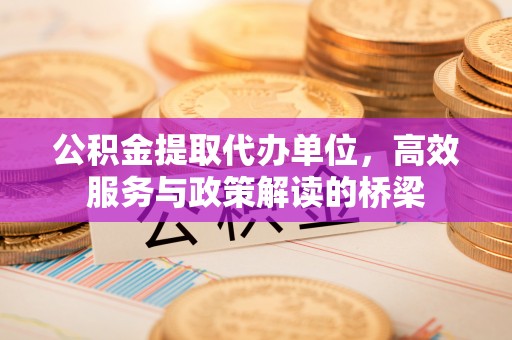 讷河公积金提取代办单位，高效服务与政策解读的桥梁