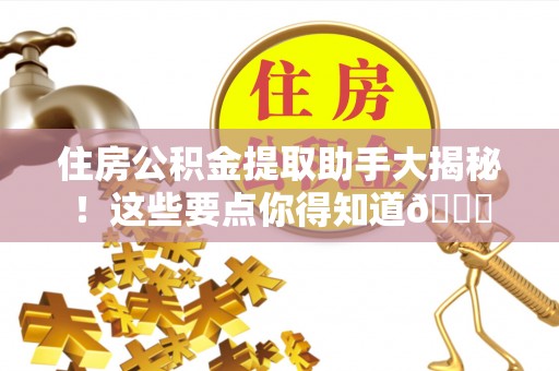 讷河住房公积金提取助手大揭秘！这些要点你得知道😎