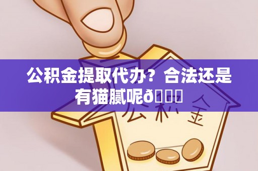 讷河公积金提取代办？合法还是有猫腻呢😏