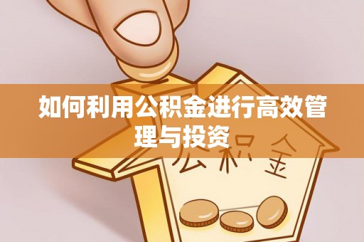 讷河如何利用公积金进行高效管理与投资